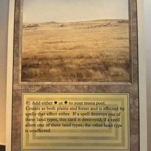 Savannah (Revised, NM)